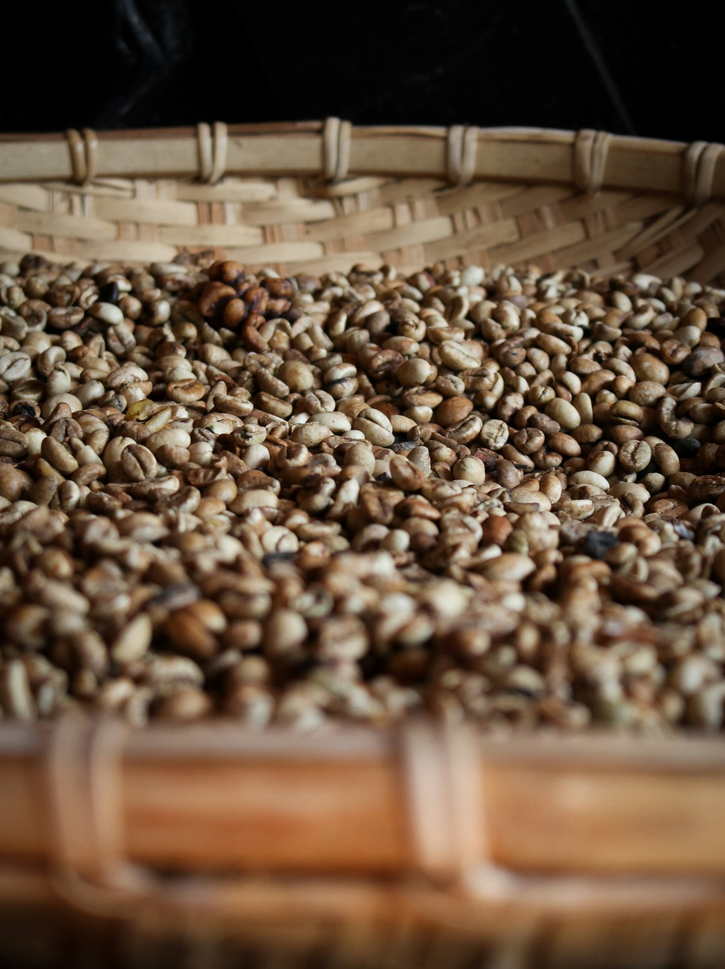 Why Argopuro Coffee Stands Out in East Java